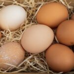 Como os ovos podem aumentar a proteína e o colesterol bom no organismo