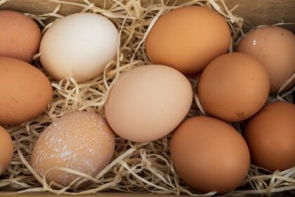 Como os ovos podem aumentar a proteína e o colesterol bom no organismo