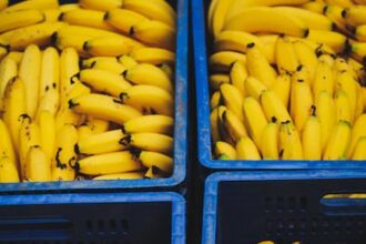 É bom comer banana todos os dias?