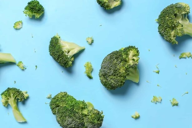 Quais são os principais nutrientes?