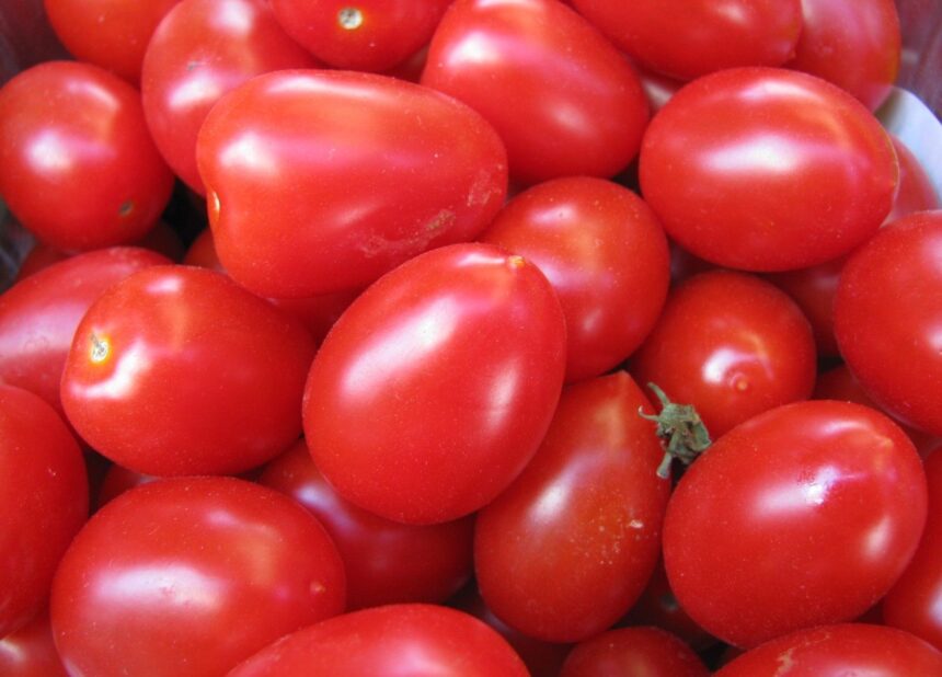 Como o tomate pode fornecer licopeno, um antioxidante que protege contra o câncer de próstata