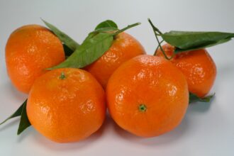 Por que as laranjas são ricas em vitamina C, um antioxidante que fortalece o sistema imunológico