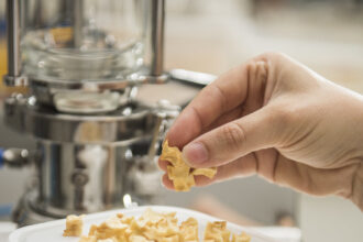 Quais são os alimentos que contêm probióticos ou prebióticos?