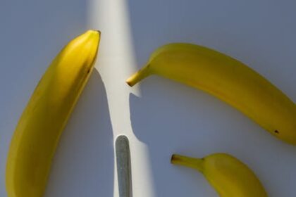 Por que as bananas são ricas em potássio, um mineral que ajuda a regular a pressão arterial