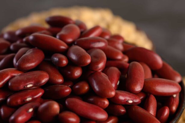 Quais são os alimentos que contêm gorduras boas e como elas contribuem para a saúde cardiovascular e cerebral?