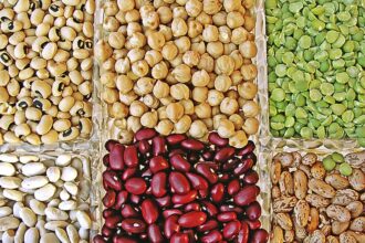 Quais são os legumes mais saudáveis?