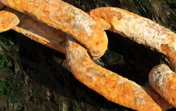 Qual é o alimento mais rico em ferro?